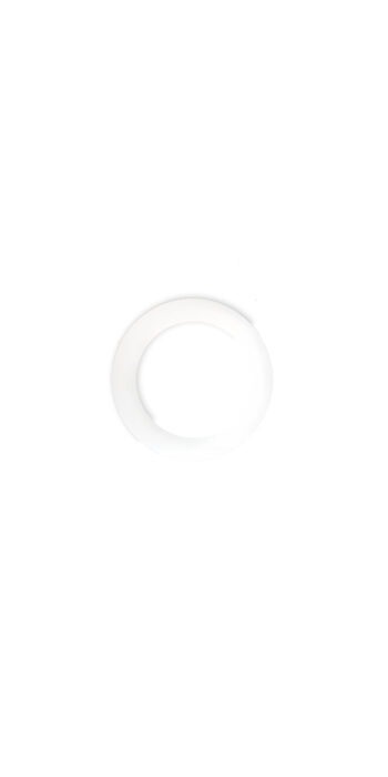 Plastic white washer for machine head